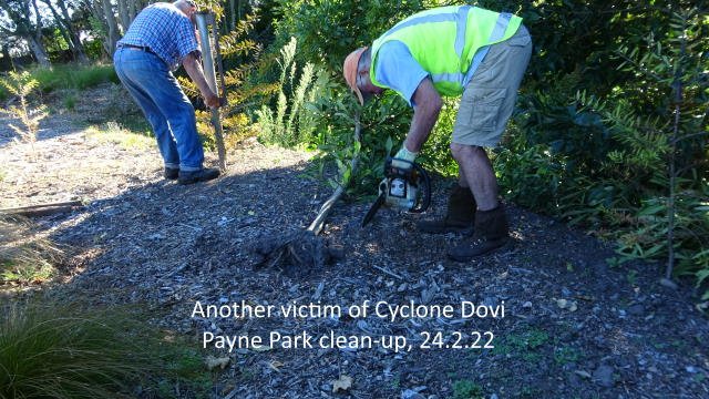 Cyclone Dovi clean-up